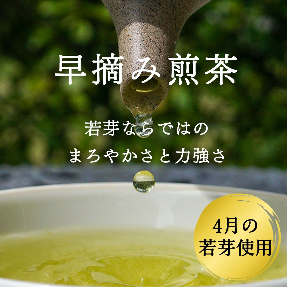 新茶ご予約受付中】煎茶 いちばん星 100g 【5/8以降出荷】 §a10 | 木谷