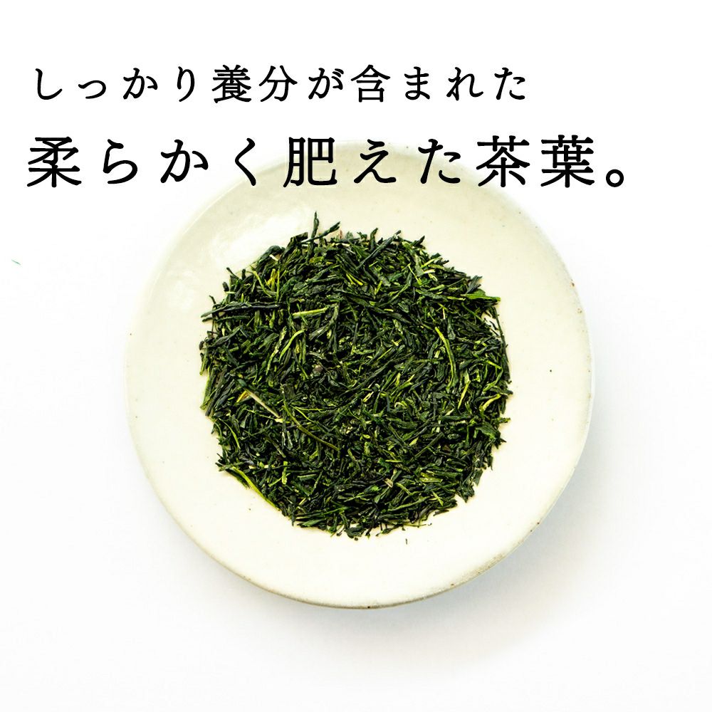 上級玉露 祇園 100g§a10 | 木谷製茶場オンラインショップ